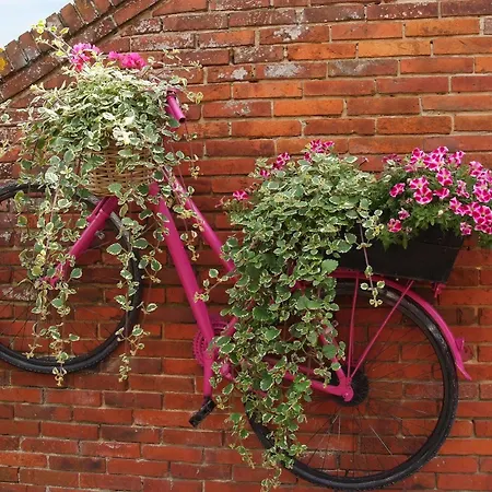 Hotel Zur Linde Heede